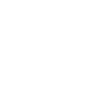 PT Mary